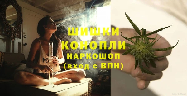 spice Козельск