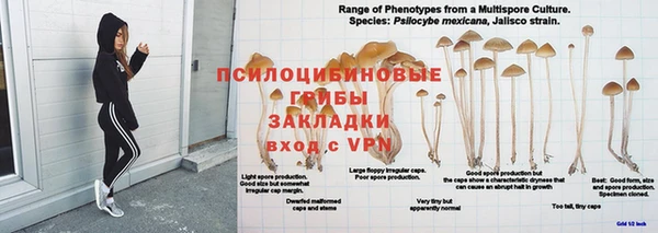 прущая мука Козловка