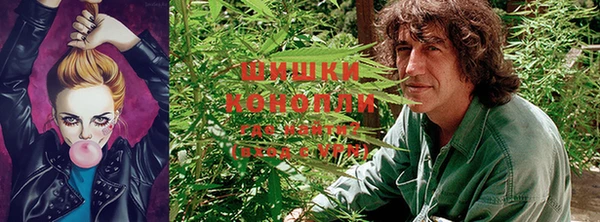 прущая мука Козловка