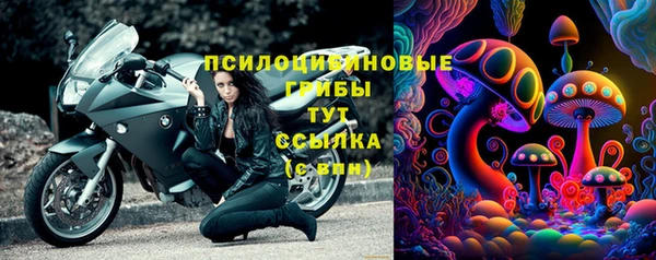 прущая мука Козловка