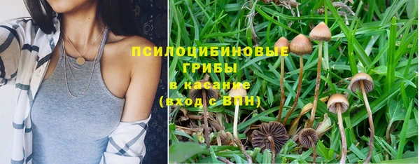 spice Козельск