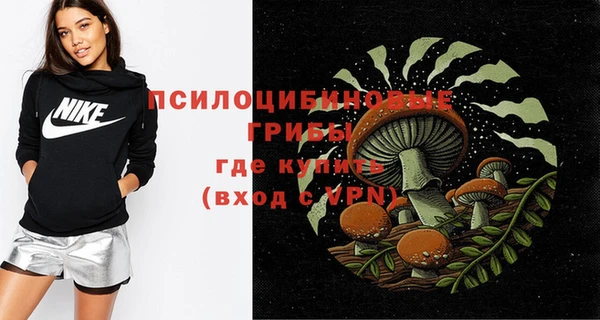spice Козельск