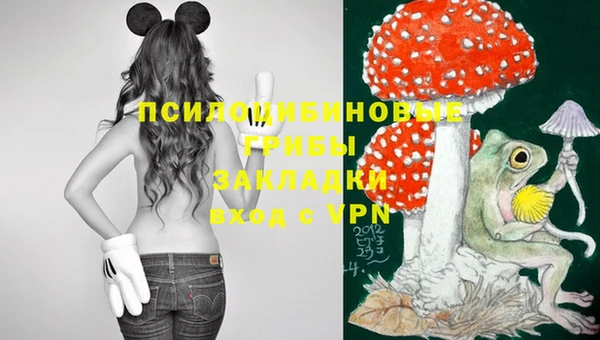 прущая мука Козловка
