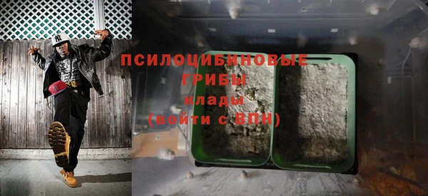spice Козельск