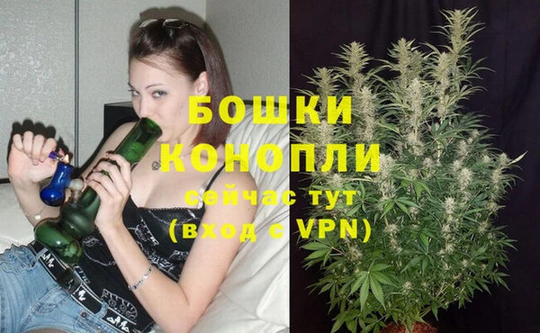 spice Козельск