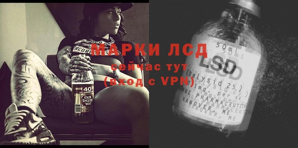 spice Козельск