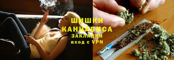 прущая мука Козловка