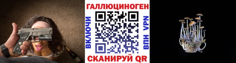 Псилоцибиновые грибы MAGIC MUSHROOMS  Купить где  Будённовск 